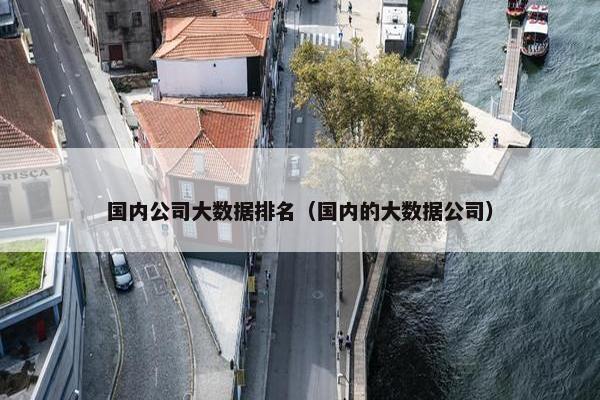 国内公司大数据排名（国内的大数据公司）