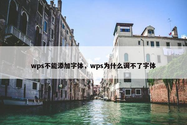 wps不能添加字体，wps为什么调不了字体