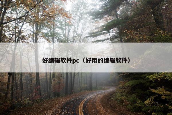 好编辑软件pc（好用的编辑软件）