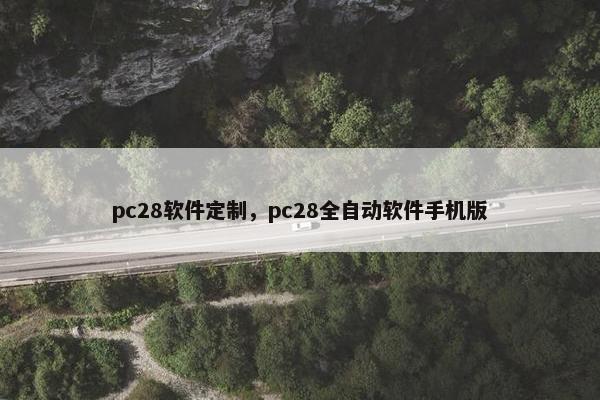 pc28软件定制，pc28全自动软件手机版