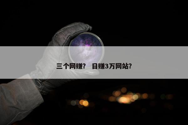三个网赚？ 日赚3万网站？