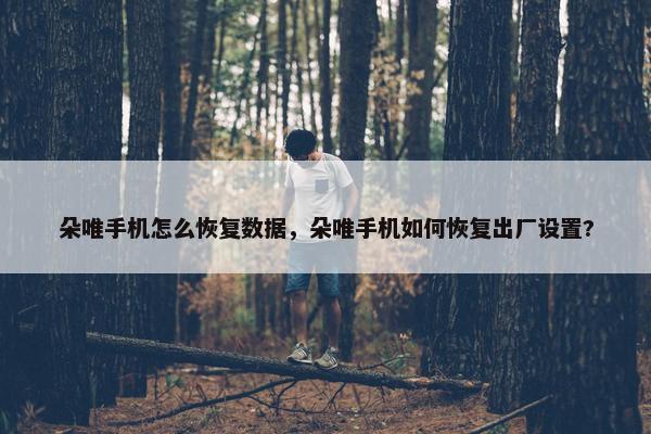 朵唯手机怎么恢复数据，朵唯手机如何恢复出厂设置?