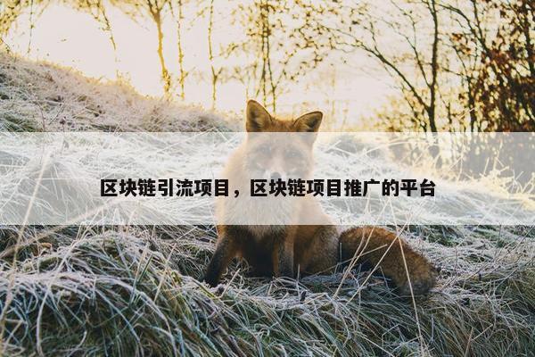 区块链引流项目，区块链项目推广的平台