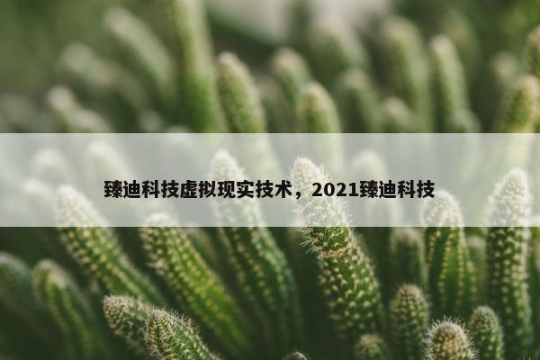 臻迪科技虚拟现实技术，2021臻迪科技