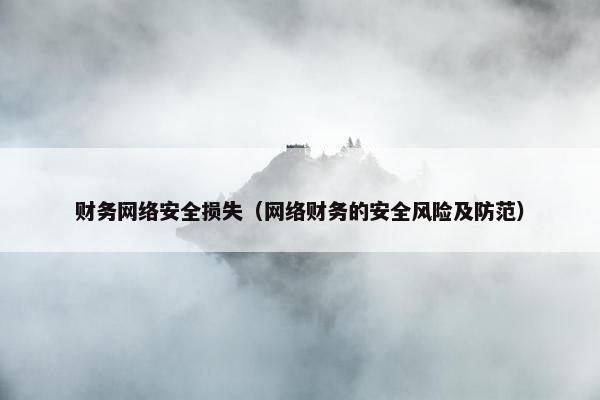 财务网络安全损失（网络财务的安全风险及防范）