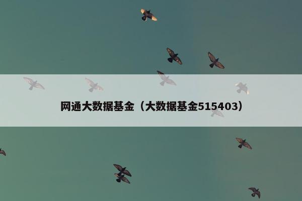 网通大数据基金（大数据基金515403）