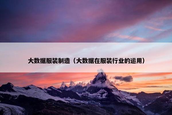 大数据服装制造（大数据在服装行业的运用）