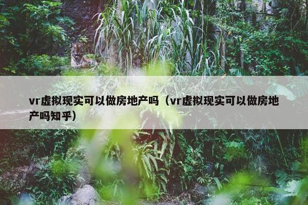 vr虚拟现实可以做房地产吗（vr虚拟现实可以做房地产吗知乎）