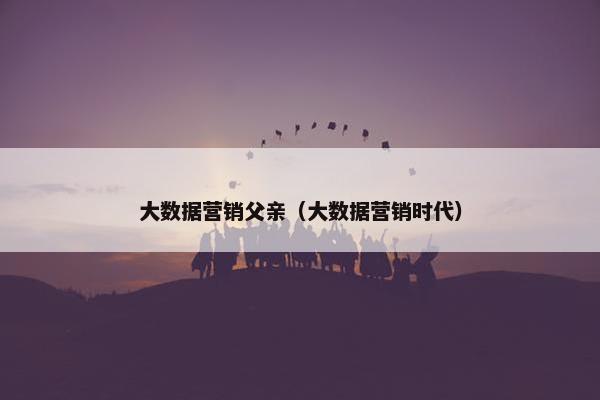 大数据营销父亲（大数据营销时代）