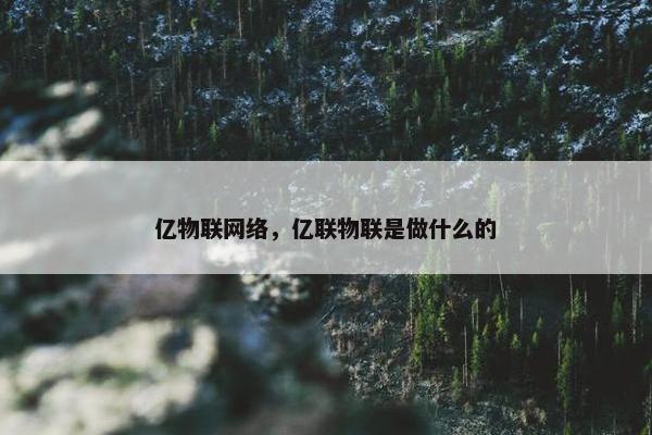 亿物联网络，亿联物联是做什么的