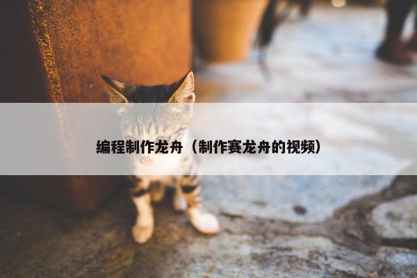 编程制作龙舟（制作赛龙舟的视频）