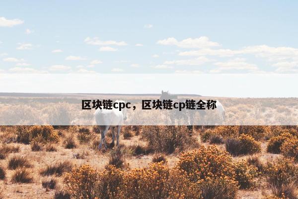 区块链cpc，区块链cp链全称