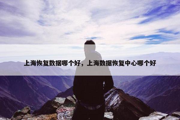 上海恢复数据哪个好，上海数据恢复中心哪个好