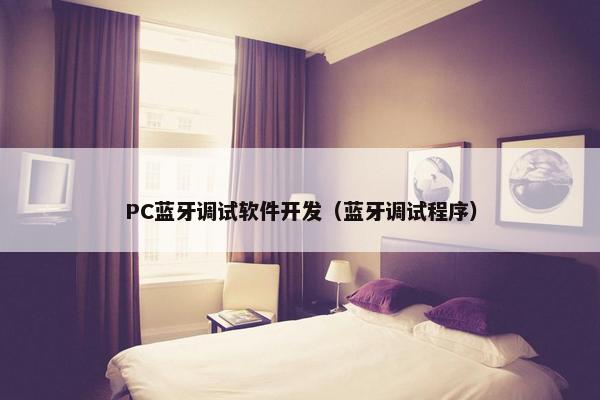 PC蓝牙调试软件开发（蓝牙调试程序）