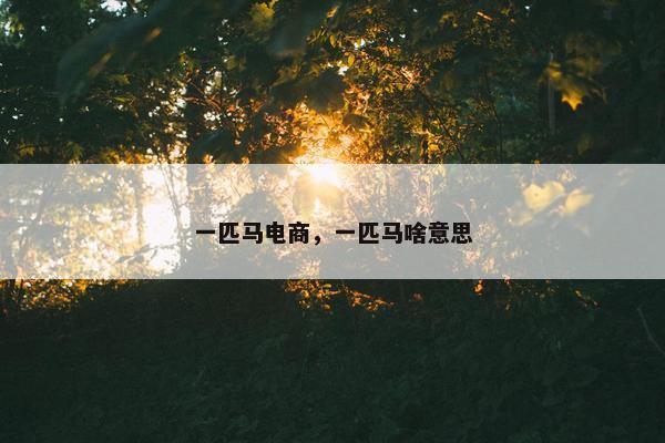 一匹马电商，一匹马啥意思