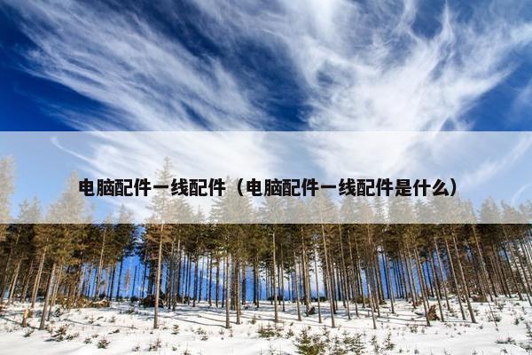 电脑配件一线配件（电脑配件一线配件是什么）