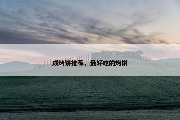 成烤饼推荐，最好吃的烤饼