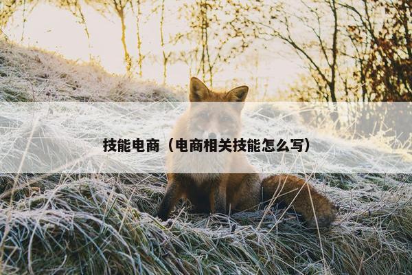 技能电商（电商相关技能怎么写）