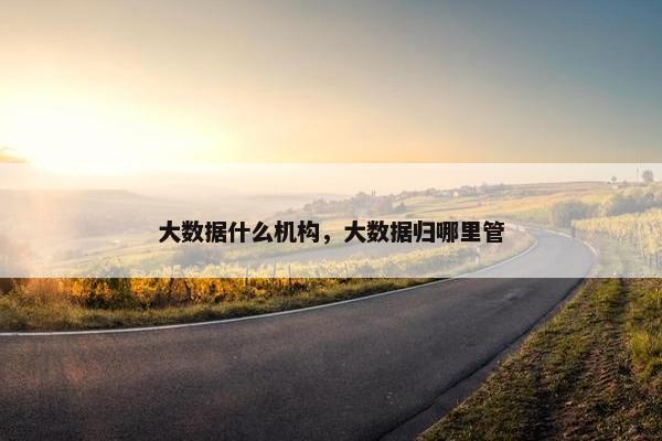 大数据什么机构，大数据归哪里管