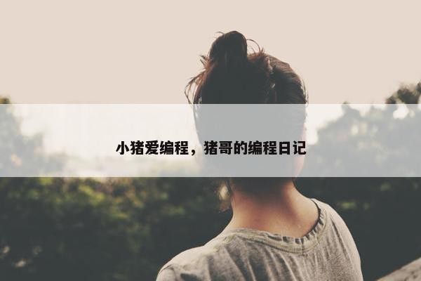 小猪爱编程，猪哥的编程日记