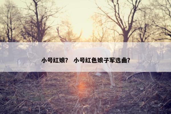 小号红娘？ 小号红色娘子军选曲？