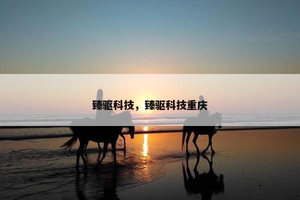 臻驱科技，臻驱科技重庆
