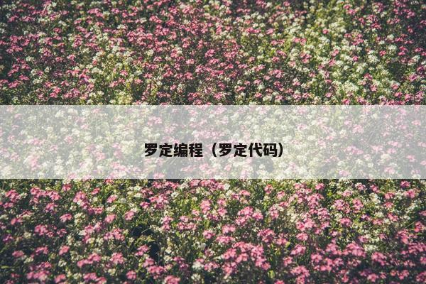 罗定编程（罗定代码）