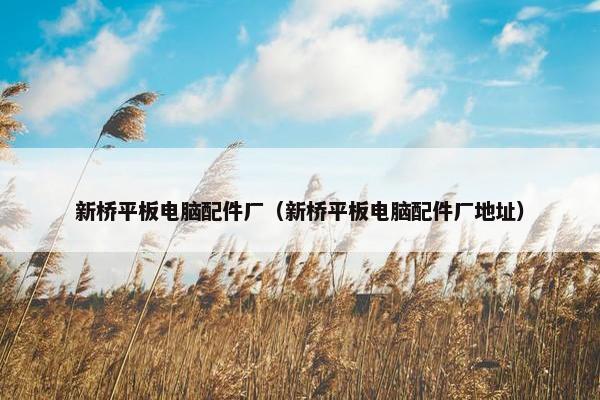 新桥平板电脑配件厂（新桥平板电脑配件厂地址）