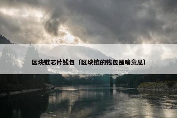 区块链芯片钱包（区块链的钱包是啥意思）