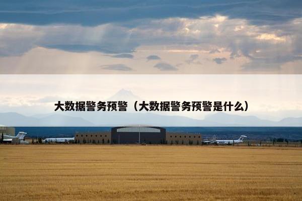 大数据警务预警（大数据警务预警是什么）