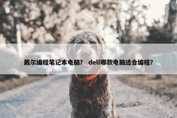 戴尔编程笔记本电脑？ dell哪款电脑适合编程？