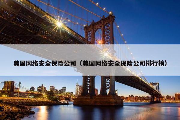 美国网络安全保险公司（美国网络安全保险公司排行榜）