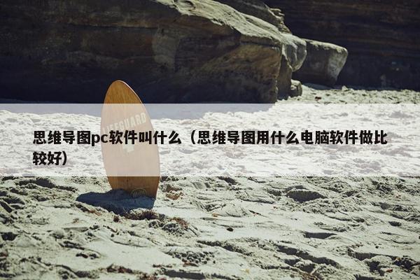 思维导图pc软件叫什么（思维导图用什么电脑软件做比较好）