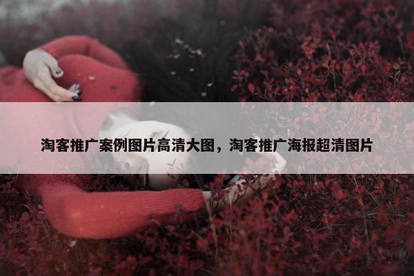 淘客推广案例图片高清大图，淘客推广海报超清图片