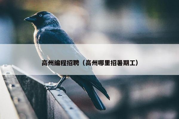 高州编程招聘（高州哪里招暑期工）