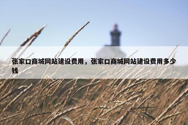 张家口商城网站建设费用，张家口商城网站建设费用多少钱