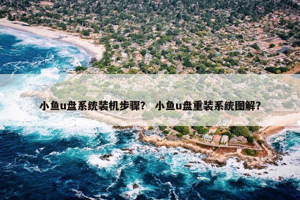 小鱼u盘系统装机步骤？ 小鱼u盘重装系统图解？