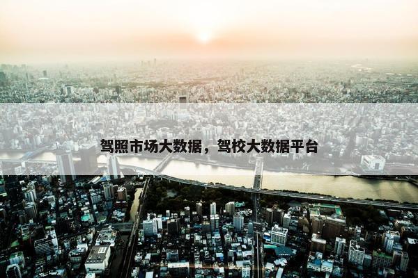 驾照市场大数据，驾校大数据平台