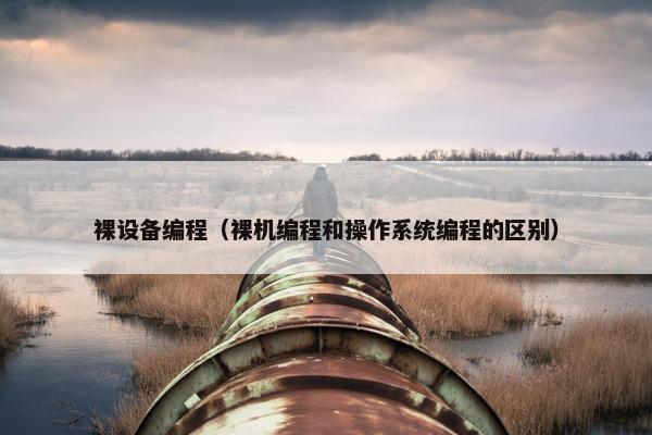 裸设备编程（裸机编程和操作系统编程的区别）
