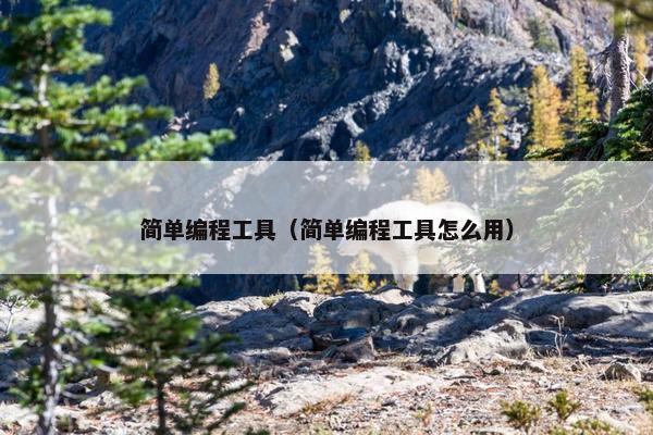 简单编程工具（简单编程工具怎么用）
