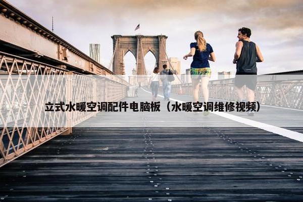 立式水暖空调配件电脑板（水暖空调维修视频）