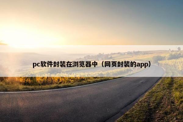 pc软件封装在浏览器中（网页封装的app）