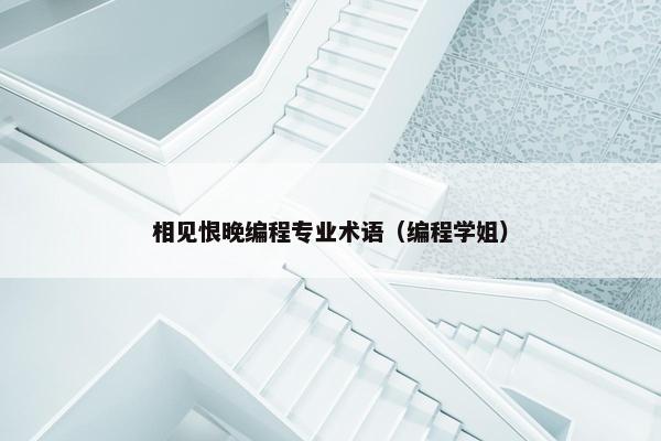 相见恨晚编程专业术语（编程学姐）