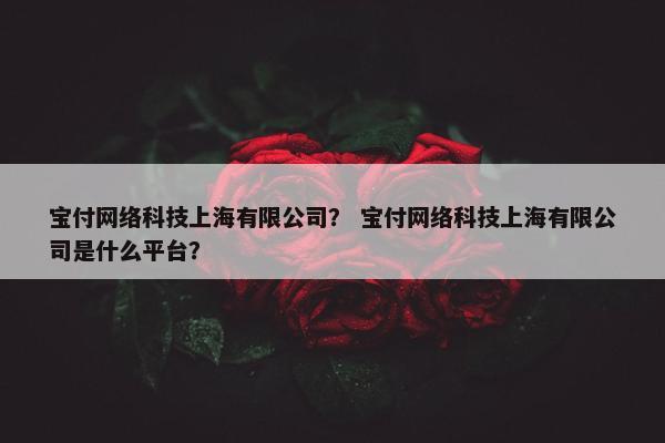 宝付网络科技上海有限公司？ 宝付网络科技上海有限公司是什么平台？