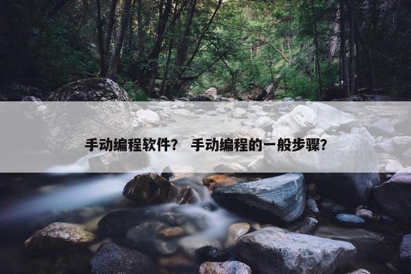 手动编程软件？ 手动编程的一般步骤？