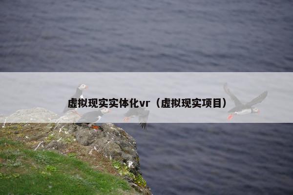 虚拟现实实体化vr（虚拟现实项目）