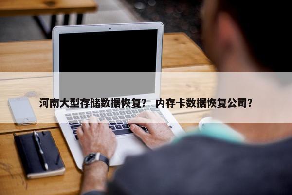 河南大型存储数据恢复？ 内存卡数据恢复公司？