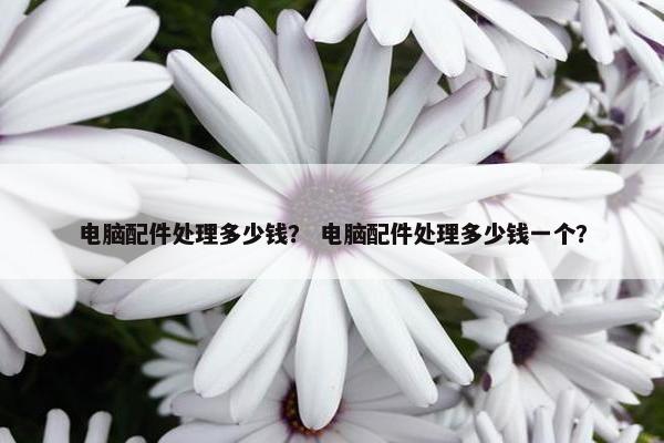 电脑配件处理多少钱？ 电脑配件处理多少钱一个？