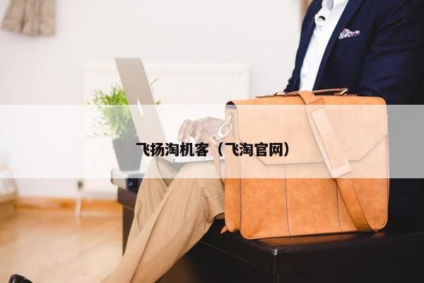 飞扬淘机客（飞淘官网）