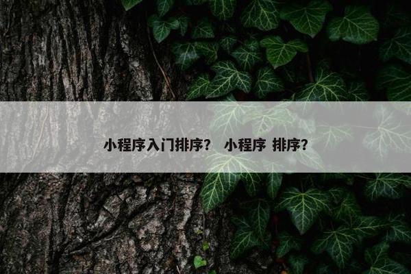 小程序入门排序？ 小程序 排序？